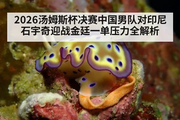 2026汤姆斯杯决赛中国男队对印尼石宇奇迎战金廷一单压力全解析